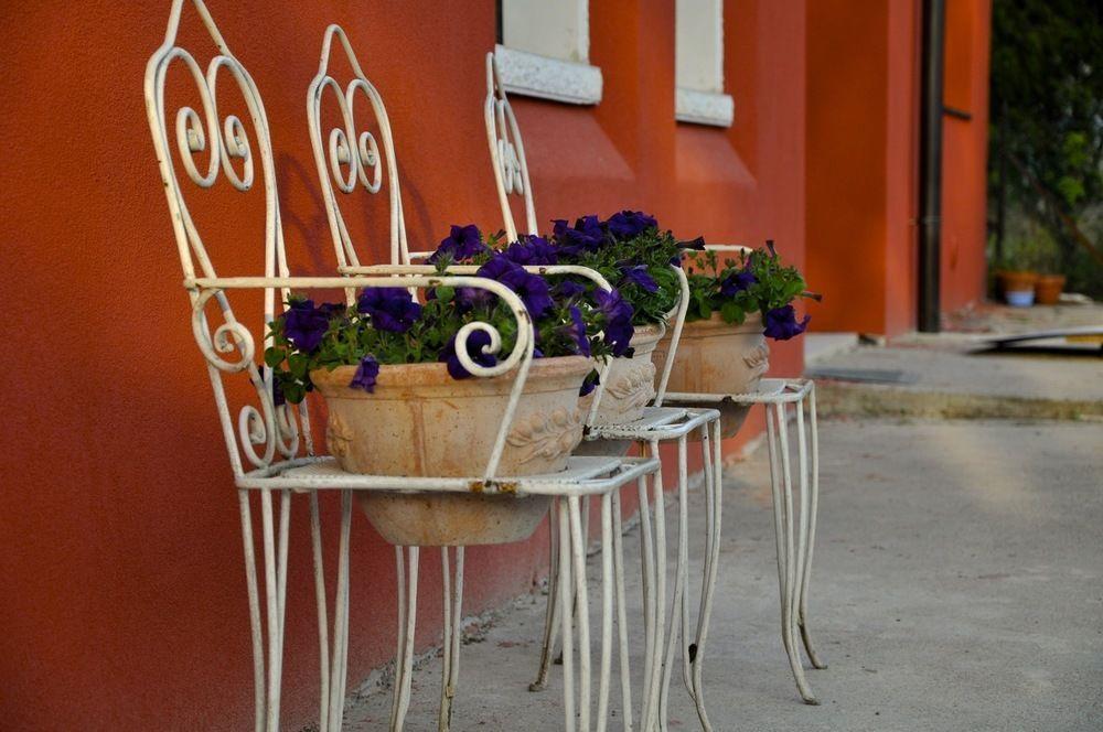 Corte Bassa B&B Beccacivetta Εξωτερικό φωτογραφία